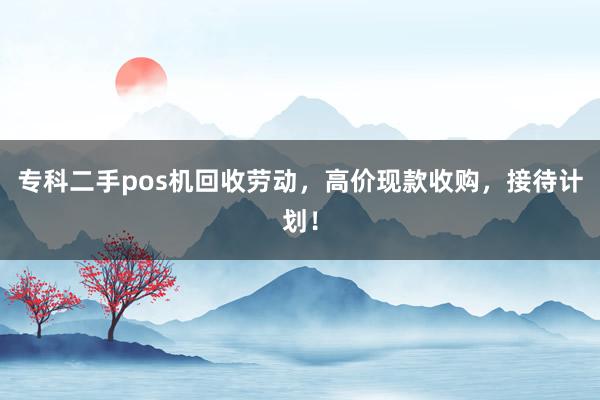 专科二手pos机回收劳动，高价现款收购，接待计划！